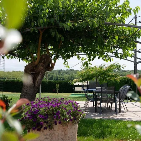 Apartment Emilia 2 Umag