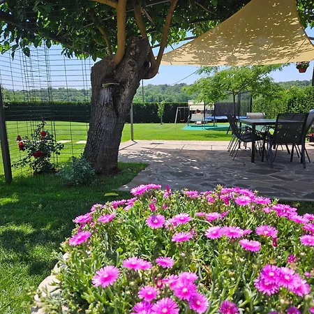 Emilia 2 Apartment Umag