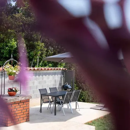 Emilia 2 アパート